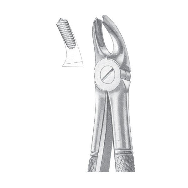 EXTRACTING FORCEPS ' ENGLISH PATTERN'