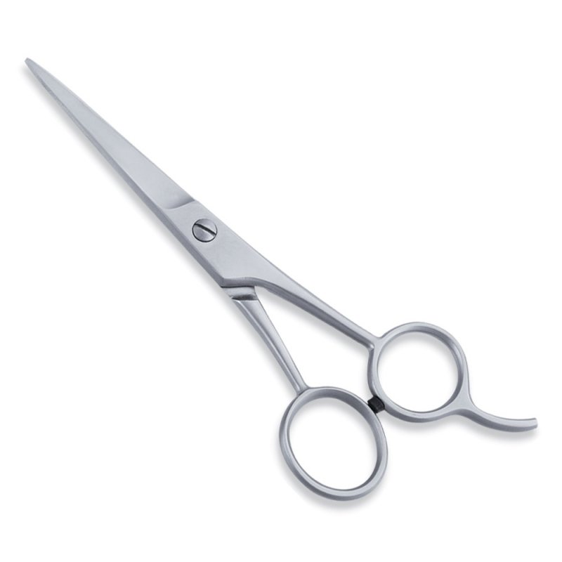 Economy Hair Scissor