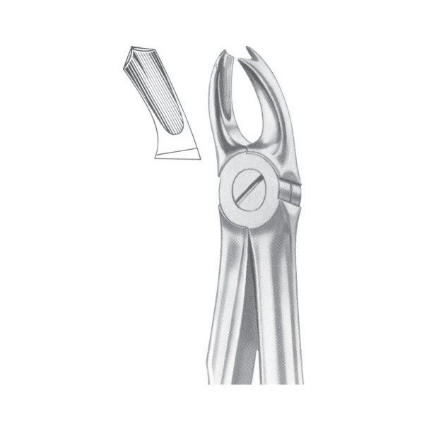 EXTRACTING FORCEPS 