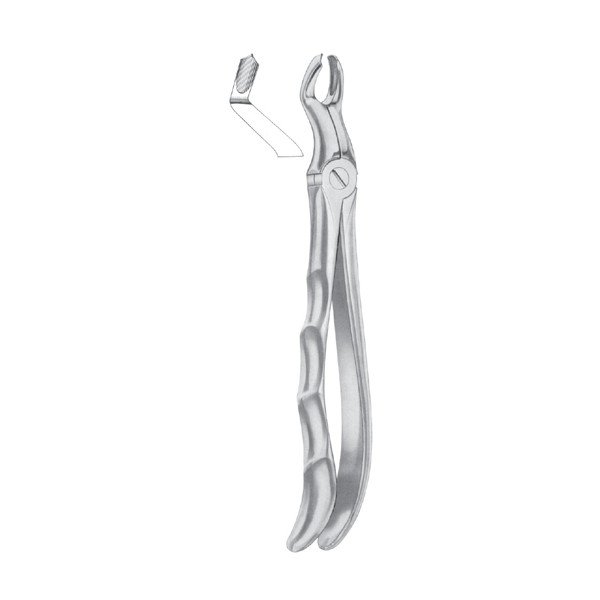 EXTRACTING FORCEPS 