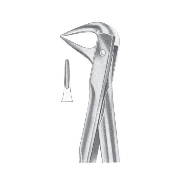 EXTRACTING FORCEPS 