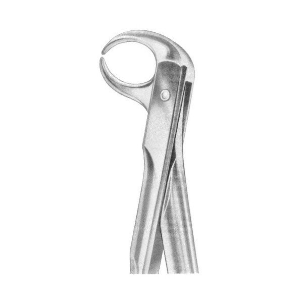 EXTRACTING FORCEPS 'WITH FITTING HANDLE'