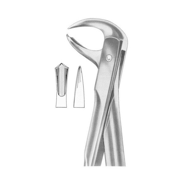 EXTRACTING FORCEPS 'WITH FITTING HANDLE'