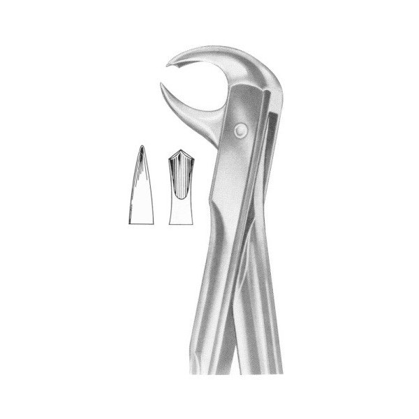 EXTRACTING FORCEPS 'WITH FITTING HANDLE'