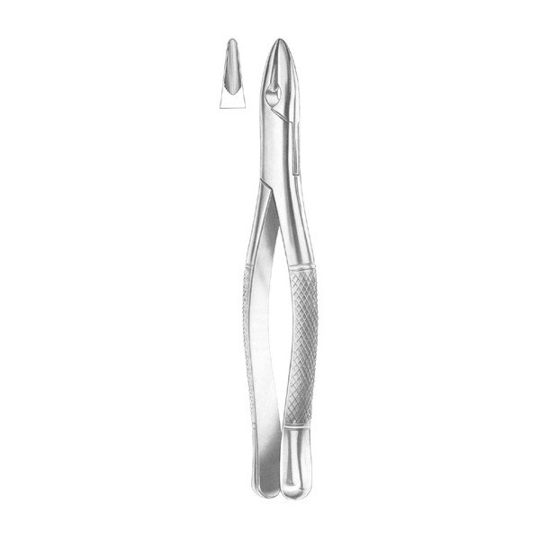 EXTRACTING FORCEPS 'AMERICAN PATTERN'