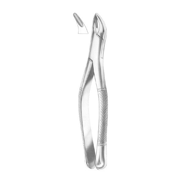 EXTRACTING FORCEPS 'AMERICAN PATTERN'