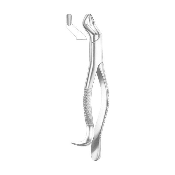 EXTRACTING FORCEPS 'AMERICAN PATTERN'