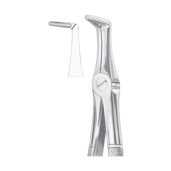 EXTRACTING FORCEPS ' ENGLISH PATTERN'