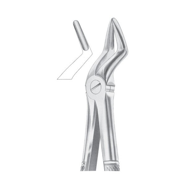 EXTRACTING FORCEPS 'ENGLISH PATTERN'