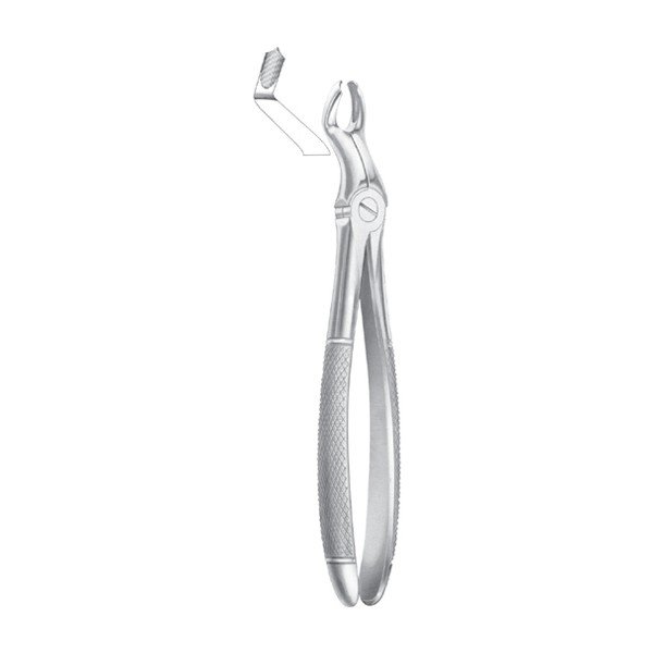 EXTRACTING FORCEPS 'ENGLISH PATTERN'