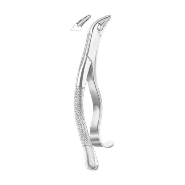 EXTRACTING FORCEPS 'AMERICAN PATTERN'