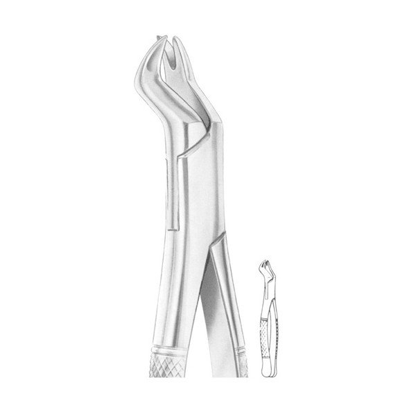 EXTRACTING FORCEPS 'AMERICAN PATTERN'