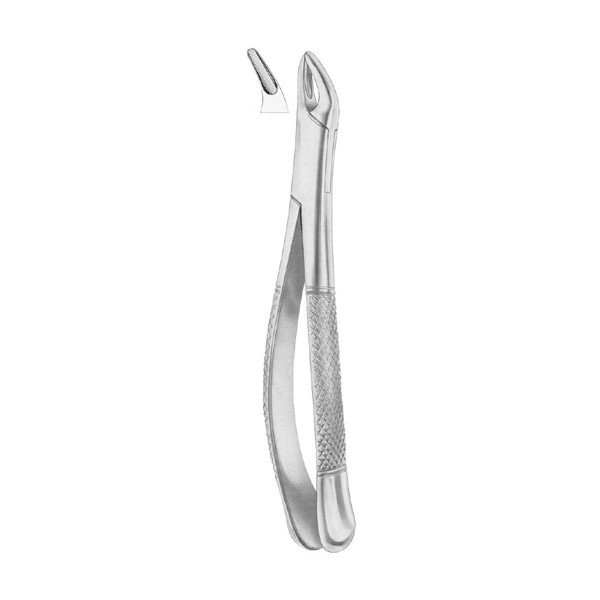 EXTRACTING FORCEPS 'AMERICAN PATTERN'