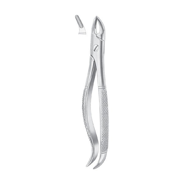 EXTRACTING FORCEPS 'ENGLISH PATTERN'