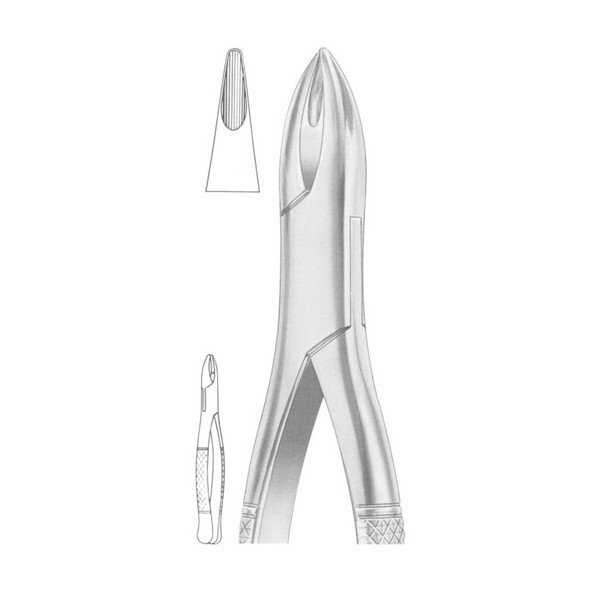 EXTRACTING FORCEPS 'AMERICAN PATTERN'