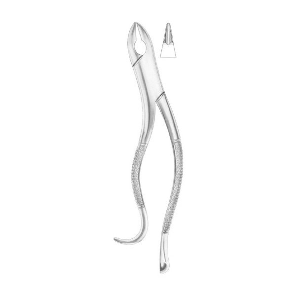 EXTRACTING FORCEPS 'AMERICAN PATTERN'