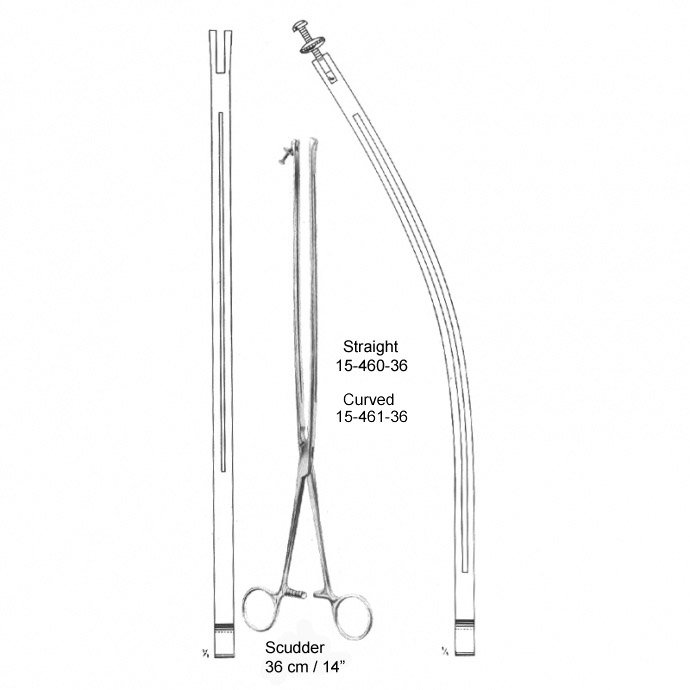 Scudder, (36 cm)