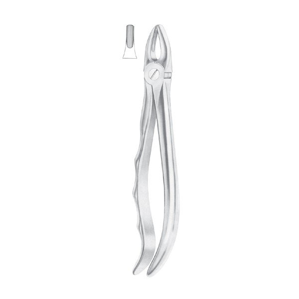 EXTRACTING FORCEPS 