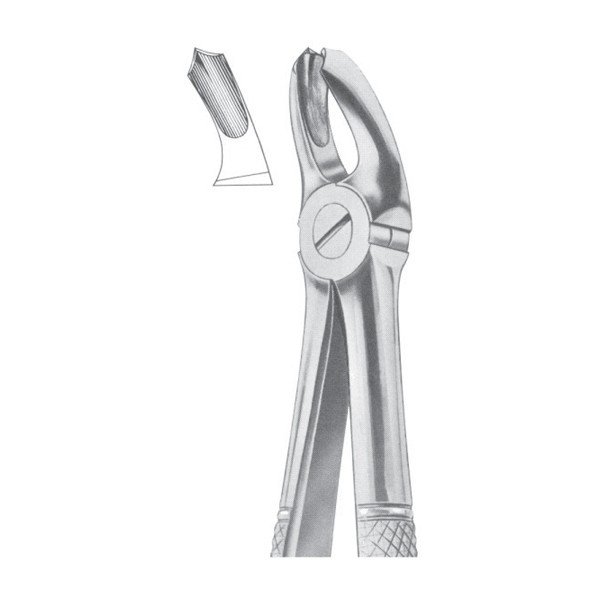 EXTRACTING FORCEPS ' ENGLISH PATTERN'