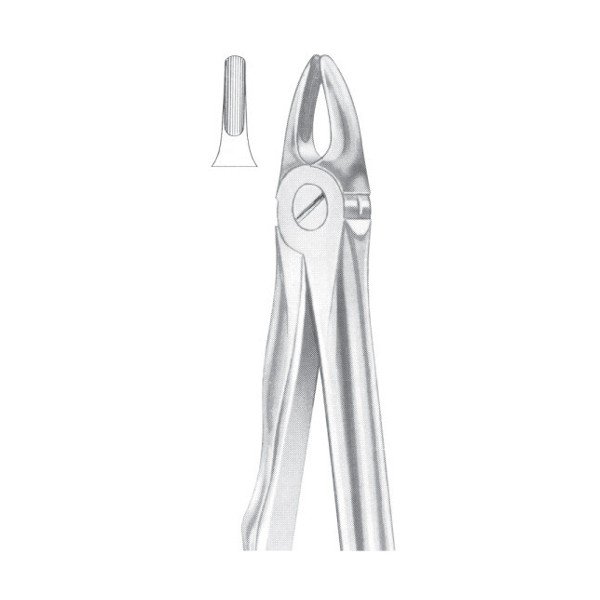 EXTRACTING FORCEPS 